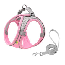 Load image into Gallery viewer, Escape Proof Small Pet Harness Leash Set
