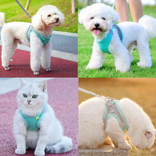 Load image into Gallery viewer, Escape Proof Small Pet Harness Leash Set
