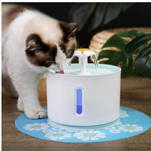 Load image into Gallery viewer, USB Powered Cat Water Fountain
