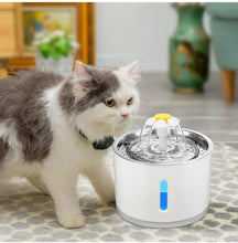 Load image into Gallery viewer, USB Powered Cat Water Fountain
